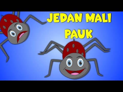 Međunarodne pjesmice - Jedan mali pauk i mnoge druge