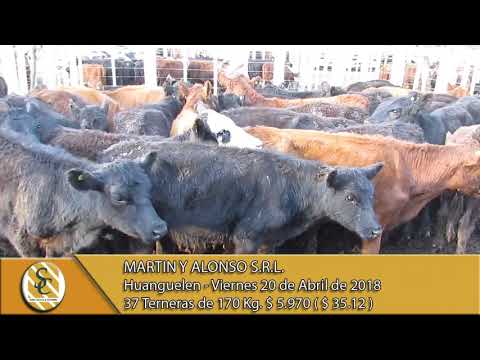 20-04-18 Venta de Hembras - Martin y Alonso S.R.L. - Huanguelen