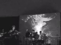 The Trees and The Wild - Irish Girl (live) 