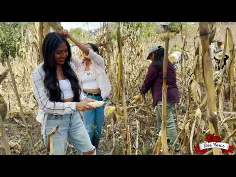 La Milpa- Dueto Dos Rosas 🌹