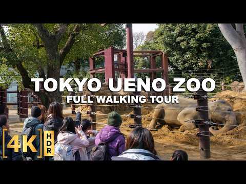 This is Japan's OLDEST Zoo and a Must-Visit in Tokyo! | UENO ZOO, Since 1882! | Full Walking Tour