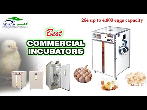 Full Automatic Egg Incubators and Super Automatic | ADHAM Farm Equipment