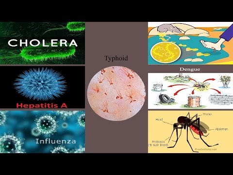 download lagu mp3 mp4 Diseases During Rainy Days, download lagu Diseases During Rainy Days gratis, unduh video klip Diseases During Rainy Days