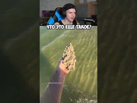 ЧТО ЭТО ВООБЩЕ ТАКОЕ?!🦶 #shorts #шортс #прикол #мем #юмор #рофл #ржака #реакция #челлендж #приколы