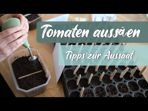 Tomaten aussäen - Tomatentalk mit Sortenempfehlungen, Tipps zur Aussaat & mehr...
