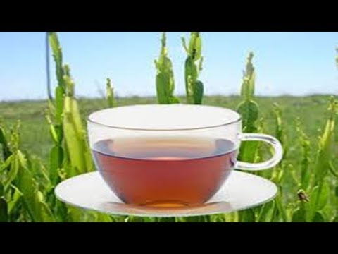 ✅  Benefícios do chá de Carqueja!