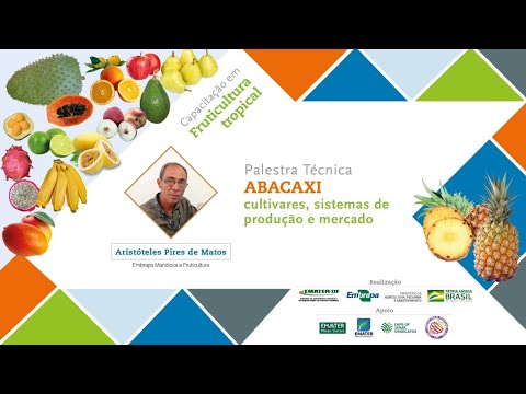, title : 'Abacaxi: cultivares, sistemas de produção e mercado'