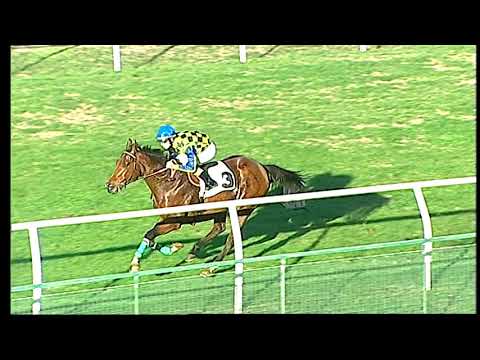 Galoppo 04/01/2021 - 4ª corsa