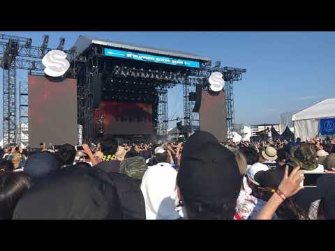 サマーソニック2019 大阪 Alan Walker