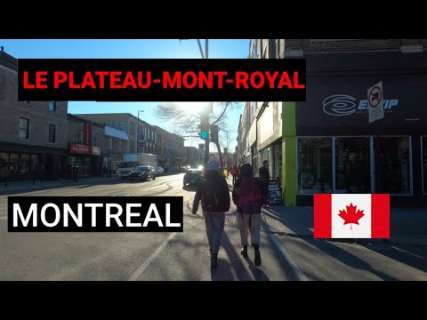 Exploring Montreal - Le Plateau-Mont-Royal | Montreal, Quebec 🇨🇦