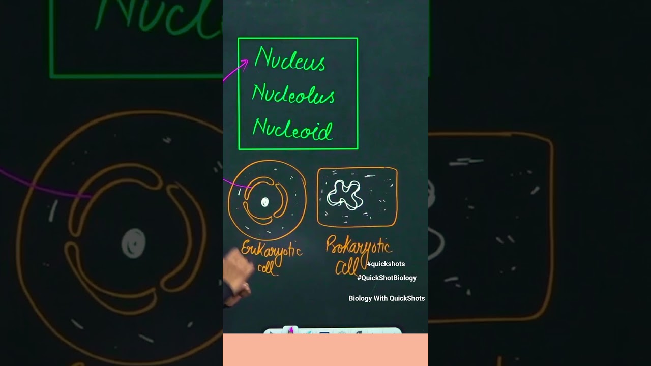 QuickSHot  Prokaryotic Cell for NEET 2023 I Poonam ma'am  #shorts #neet #neetpreparation