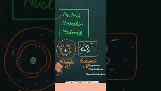 QuickSHot  Prokaryotic Cell for NEET 2023 I Poonam ma'am  #shorts #neet #neetpreparation