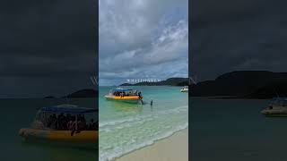Airlie Beach and  Whitehaven Australia’s Tropical Paradise cruising with Carnival Splendor