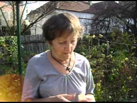 Danica Ranković - Otišo je moj voljeni dragi - (official Video) - 2010