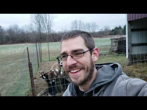 Our Most Profitable Operation Here So Far