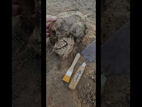 Esqueleto humano identificado tem escavação arqueológica na Paraíba.