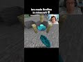 Minecraft Fireflies Moment