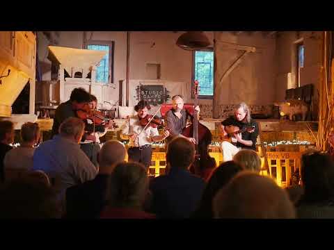 Tcha Limberger et les Violons de Bruxelles -  El Tamarindo