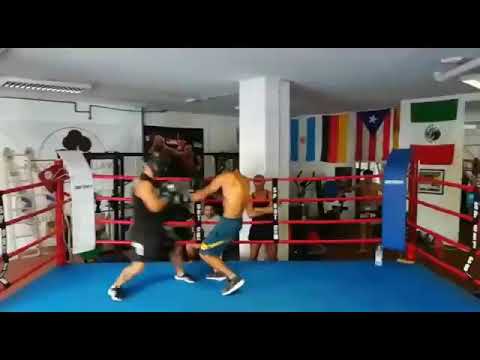 adasat toro  rojas  sparring