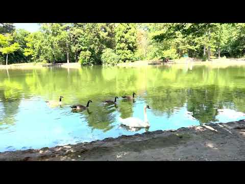 La Grande Cascade, le Lac Supérieur au Bois de Boulogne, Paris, Video 4K HDR