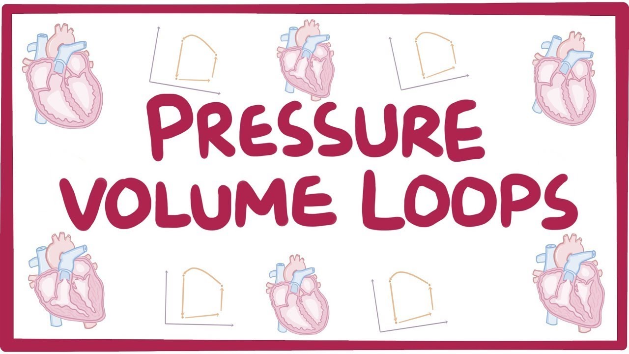 Changes in pressure-volume loops