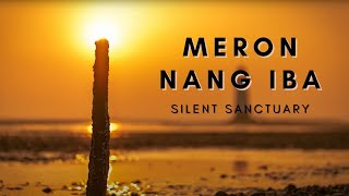 Silent Sanctuary - Meron Nang Iba (Official Audio)
