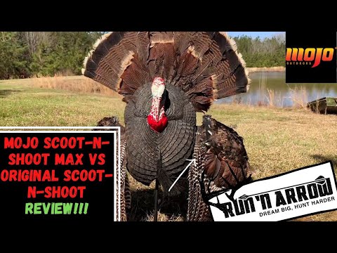 Mojo Scoot N Shoot Max vs Original Mojo Scoot N Shoot Review