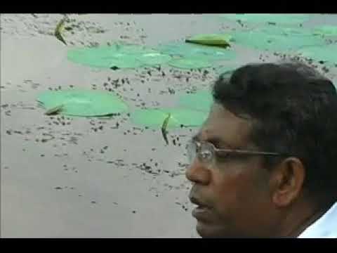 A.L.B.kandepola- Boru Pan Padurai