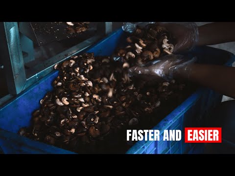 How the Cashew Cutting Machine with 6 Blades Makes Processing Faster and Easier