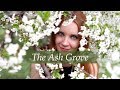 The Ash Grove - by Alisa, Courtney and Luuk