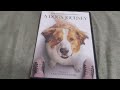A DOG S JOURNEY DVD Overview
