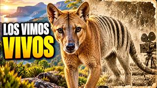 Animales Extintos que Alcanzamos a Ver Antes de Desaparecer
