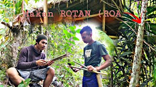 Download lagu Suku Dayak || Makanan Unik Hutan Kalimantan, Akar penuh Duri ini bisa dimakan mp3 Download lagu Suku Dayak || Makanan Unik Hutan Kalimantan, Akar penuh Duri ini bisa dimakan mp3