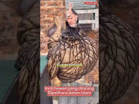 Ini 6 hewan yang dilarang dipelihara dalam Islam #hatihati #hewanbuas #shortvidio