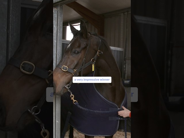 Thumbnail for Post ID: kI6VY6h4Q7I