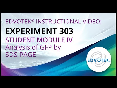 Edvotek Kit #303 - Student Module IV - Analysis of GFP by SDS-PAGE
