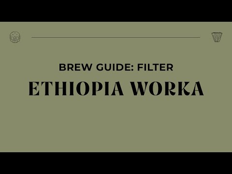 Brew Guide - Ethiopia Worka Filter