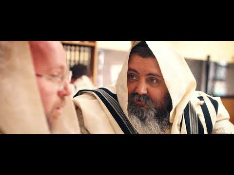 קרל חליפות — כולם יחשבו שאתה בן נוגיד