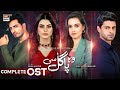 Woh Pagal Si OST | Sibtain Khalid | Hira Khan | Saad Qureshi | ARY Digital
