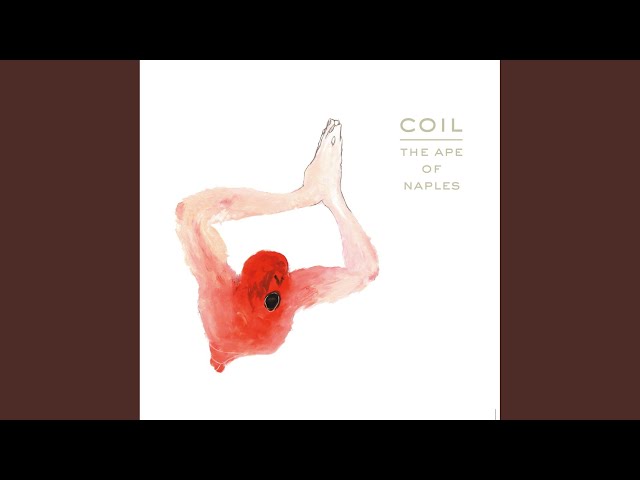 Coil: el icónico grupo musical que desafió los límites de la música