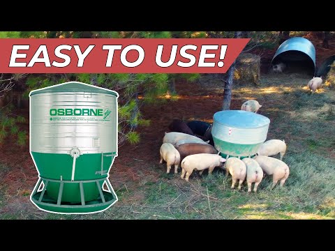 , title : 'Never Waste Feed Again | Osborne Pig Feeder'