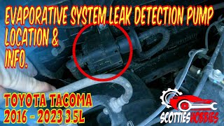 🚗 Toyota Tacoma Emissions Vapor Leak Detection Pump Location & Function 🔍