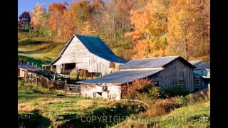 Down on the Farm-Joe Walsh