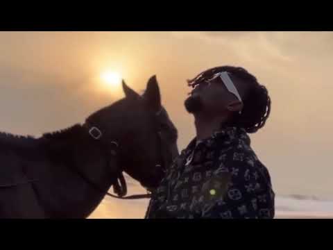 SETHLO ft WILLY BABY - I BELIEVE (clip officiel)