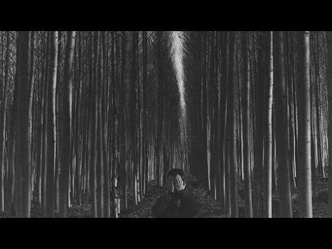 I Am In Need Of Music // Elizabeth Bishop