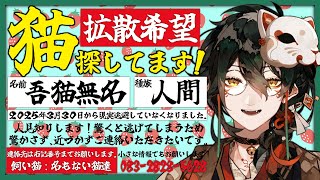 【 #雑談配信 】迷い吾猫を見つけました🐈🍰【 #吾猫無名 / #個人Vtuber 】