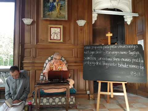 SB 8.3.17 HH Janananda Goswami Maharaja in English And HG Vidura Prabhu en Français