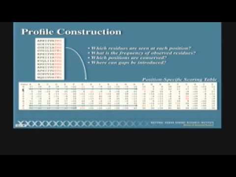 Biological Sequence Analysis II (2010)
