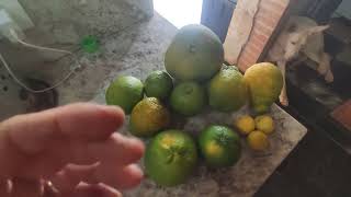 Miniatura do vídeo