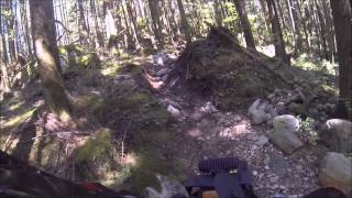 2015 05 18 McNutt Burgers and Fries